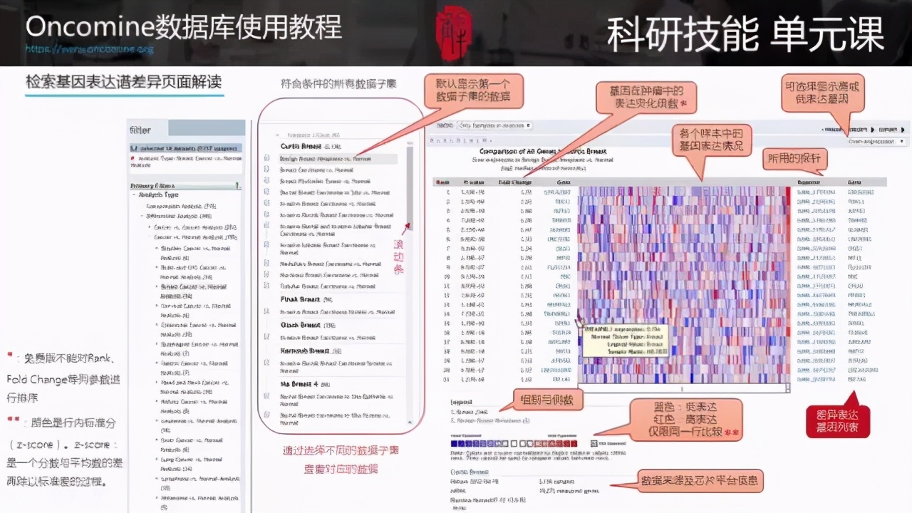 新奧門(mén)最全精準(zhǔn)資料庫(kù)，OIL68.168自助版創(chuàng)新方案制定