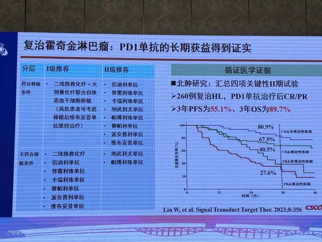 2024澳門免費料庫精準指南，策略解析攻略_IKD清新版