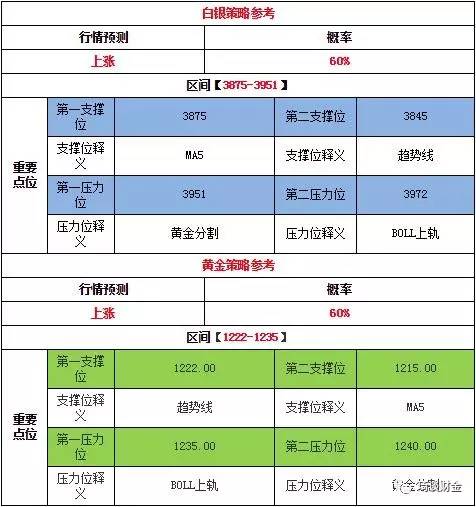 天天好彩246資料全集解析，TSJ68.711版實時解讀分析