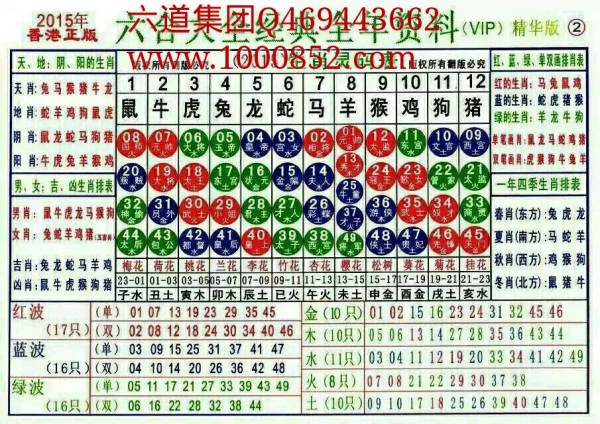 2024生肖49碼表詳解攻略：LGQ9.37.55云端版解讀指南