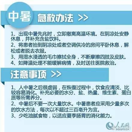 澳門精準免費旅游團資料解析：安全策略與可變PDA948.69深度解讀