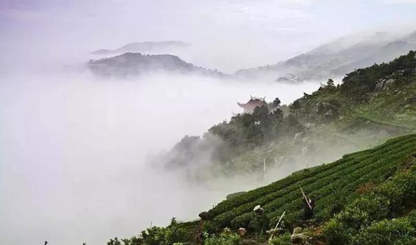 火山最新動態，活躍地標與時代印記的融合