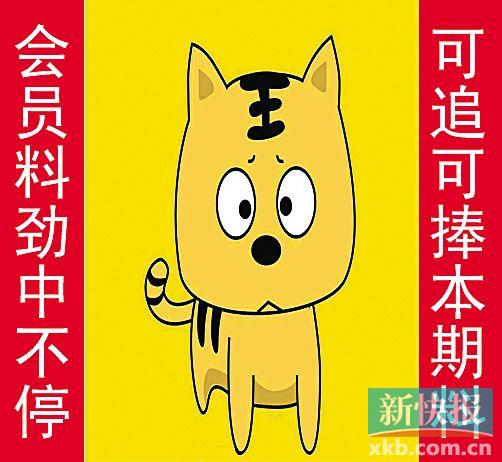 金錢豹自由真功夫最新革新，高科技產(chǎn)品引領(lǐng)未來生活新潮流