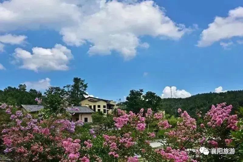 東津高鐵站最新動態(tài),東津高鐵站最新動態(tài)，啟程自然之旅，探尋內(nèi)心之寧靜