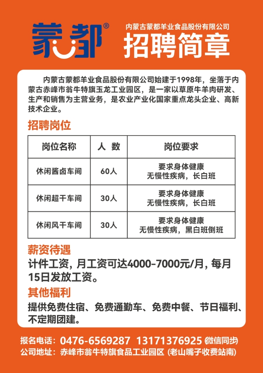 最新招聘信息，啟程，展翅高飛在變化與學(xué)習(xí)的天空