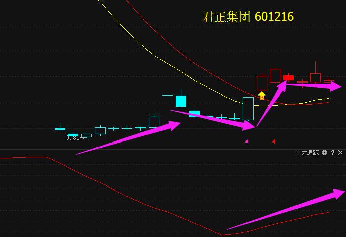 2024年12月26日 第3頁