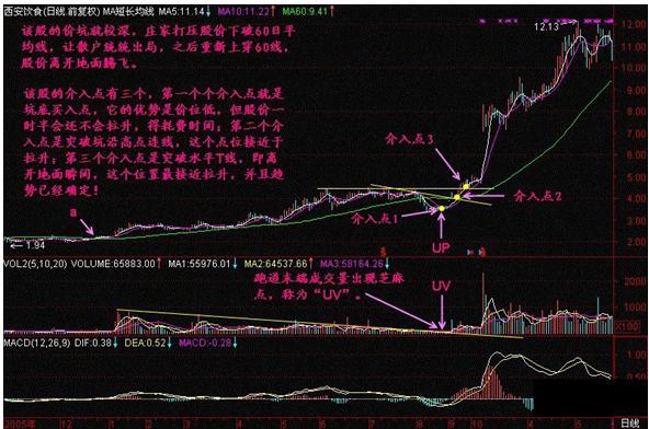 UP股票的溫馨日常故事之旅